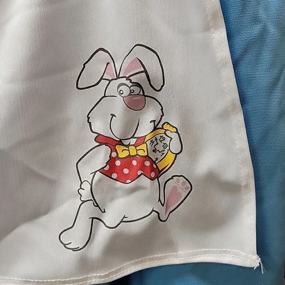California Costume Todder Lil  Alice Costume‎ Medium 3-4